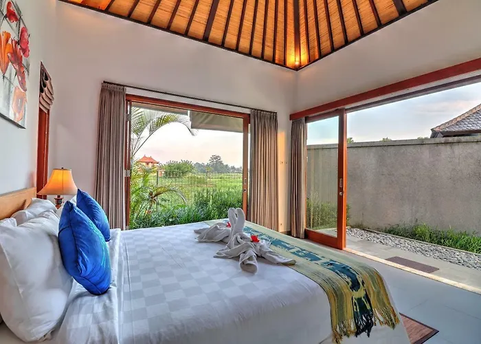Aprikot * Ubud (Bali)