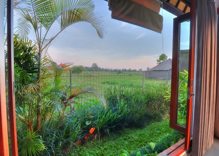 Villa Aprikot